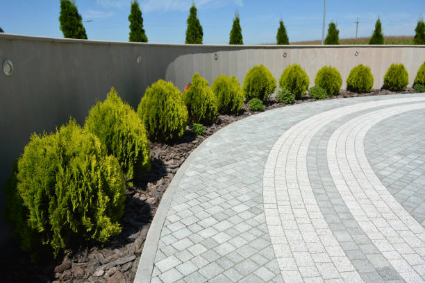 Best Interlocking Driveway Pavers  in South Chicago Heights, IL