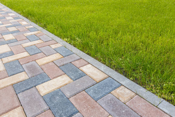 Best Driveway Paving Contractor  in South Chicago Heights, IL